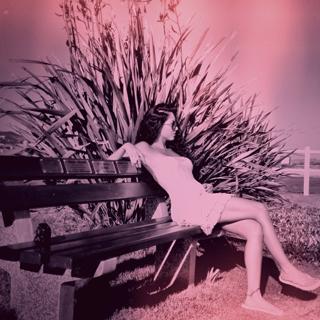 Bárbara Mori feet photo thumbnail