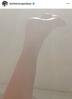 Bárbara Paz feet photo 4