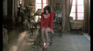 Béatrice Dalle feet photo 9
