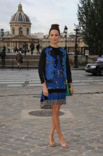 Bérénice Bejo feet photo thumbnail