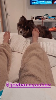 C.J. Perry Barnyashev feet photo thumbnail