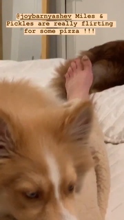 C.J. Perry Barnyashev feet photo thumbnail