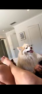 C.J. Perry Barnyashev feet photo thumbnail