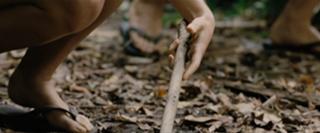 Caitlin Stasey feet photo thumbnail