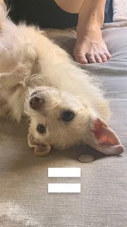 Caitlin Stasey feet photo thumbnail