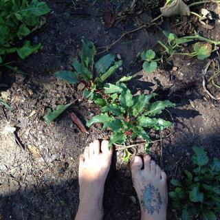 Caitlin Wachs feet photo 11