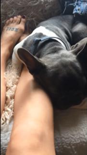 Caity Lotz feet photo thumbnail