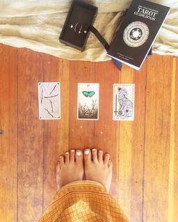 Caley Joyner feet photo 19