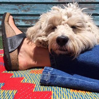 Caley Joyner feet photo 17