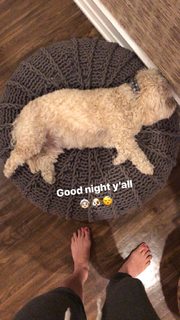 Caley Joyner feet photo 19