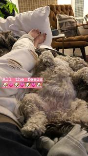 Caley Joyner feet photo 4