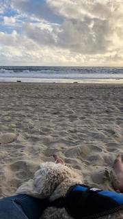 Caley Joyner feet photo 3