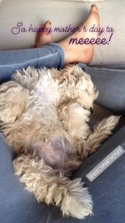 Caley Joyner feet photo 17