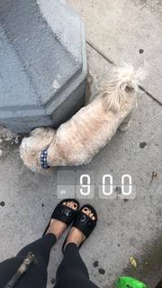 Caley Joyner feet photo 10
