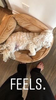 Caley Joyner feet photo 7