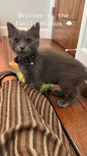 Calyx Hampton feet photo thumbnail