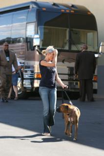 Cameron Diaz feet photo thumbnail