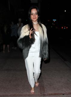 Camila Cabello feet photo thumbnail