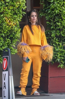 Camila Cabello feet photo thumbnail