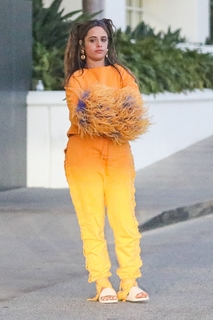 Camila Cabello feet photo thumbnail