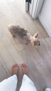 Camila Coelho feet photo thumbnail