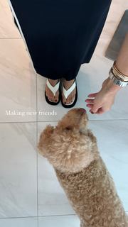 Camila Coelho feet photo thumbnail