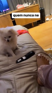 Camila Loures feet photo 19
