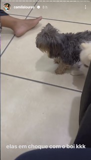 Camila Loures feet photo 18