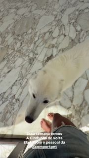 Camila Loures feet photo 15