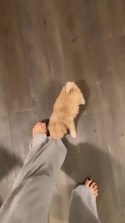 Camila Mendes feet photo thumbnail
