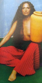 Camila Pitanga feet photo 11