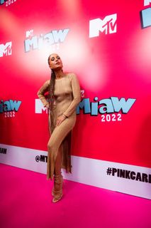 Camila Pitanga feet photo 20