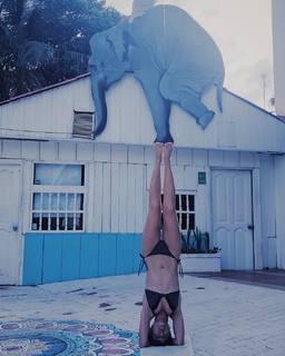 Camila Salazar feet photo 19