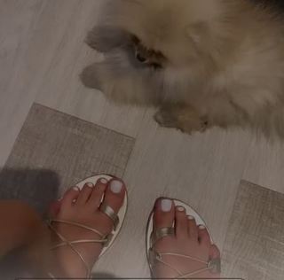 Camille Cerf feet photo thumbnail