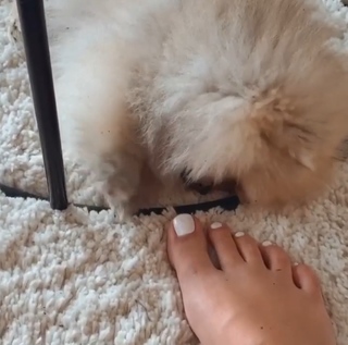 Camille Cerf feet photo thumbnail