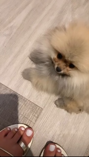 Camille Cerf feet photo thumbnail