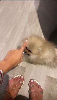 Camille Cerf feet photo thumbnail