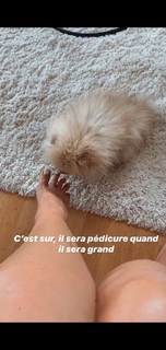 Camille Cerf feet photo thumbnail