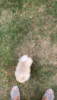 Camille Cerf feet photo thumbnail