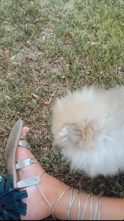 Camille Cerf feet photo thumbnail