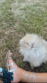 Camille Cerf feet photo thumbnail