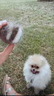 Camille Cerf feet photo thumbnail