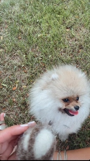 Camille Cerf feet photo thumbnail