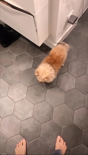 Camille Cerf feet photo thumbnail