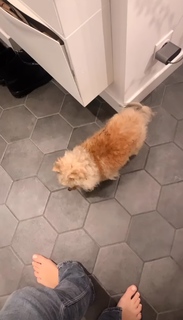 Camille Cerf feet photo thumbnail