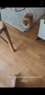 Camille Cerf feet photo thumbnail