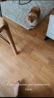 Camille Cerf feet photo thumbnail