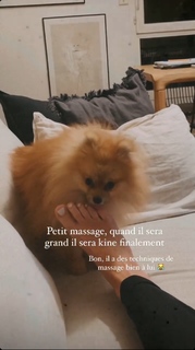 Camille Cerf feet photo thumbnail