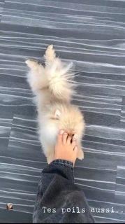 Camille Cerf feet photo thumbnail