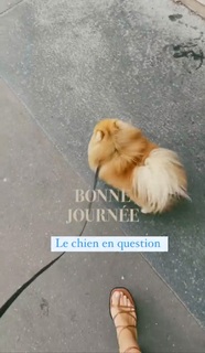 Camille Cerf feet photo thumbnail